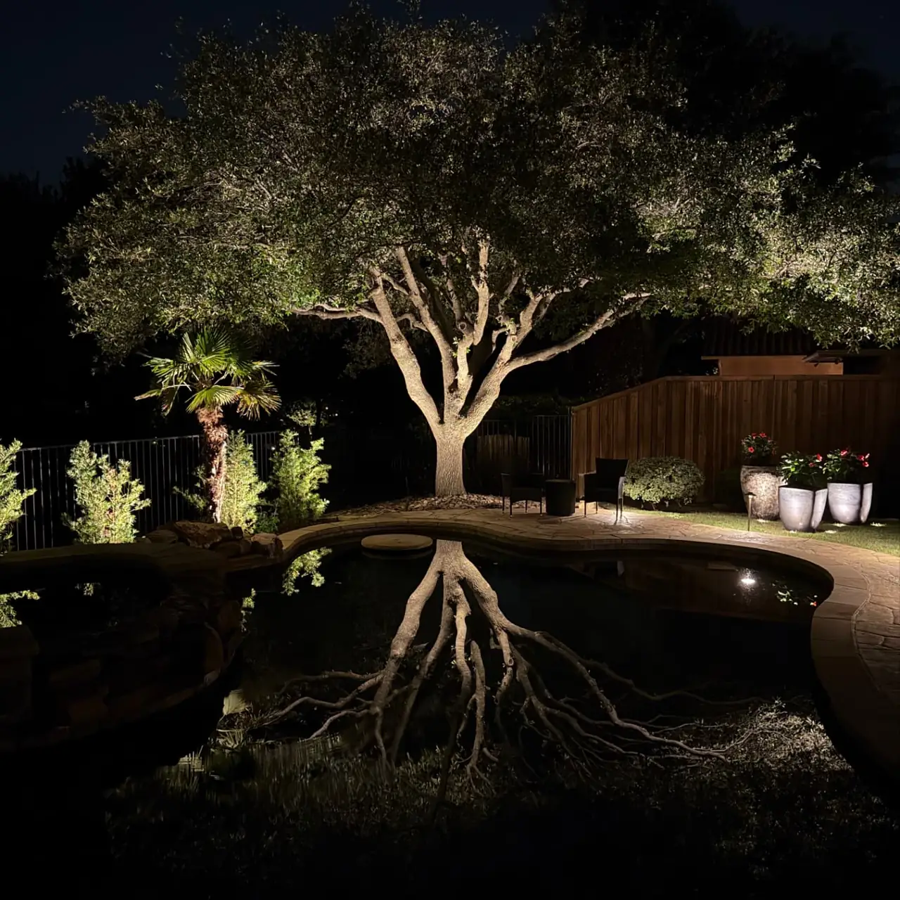 Tree line at blue hour after lighting installation