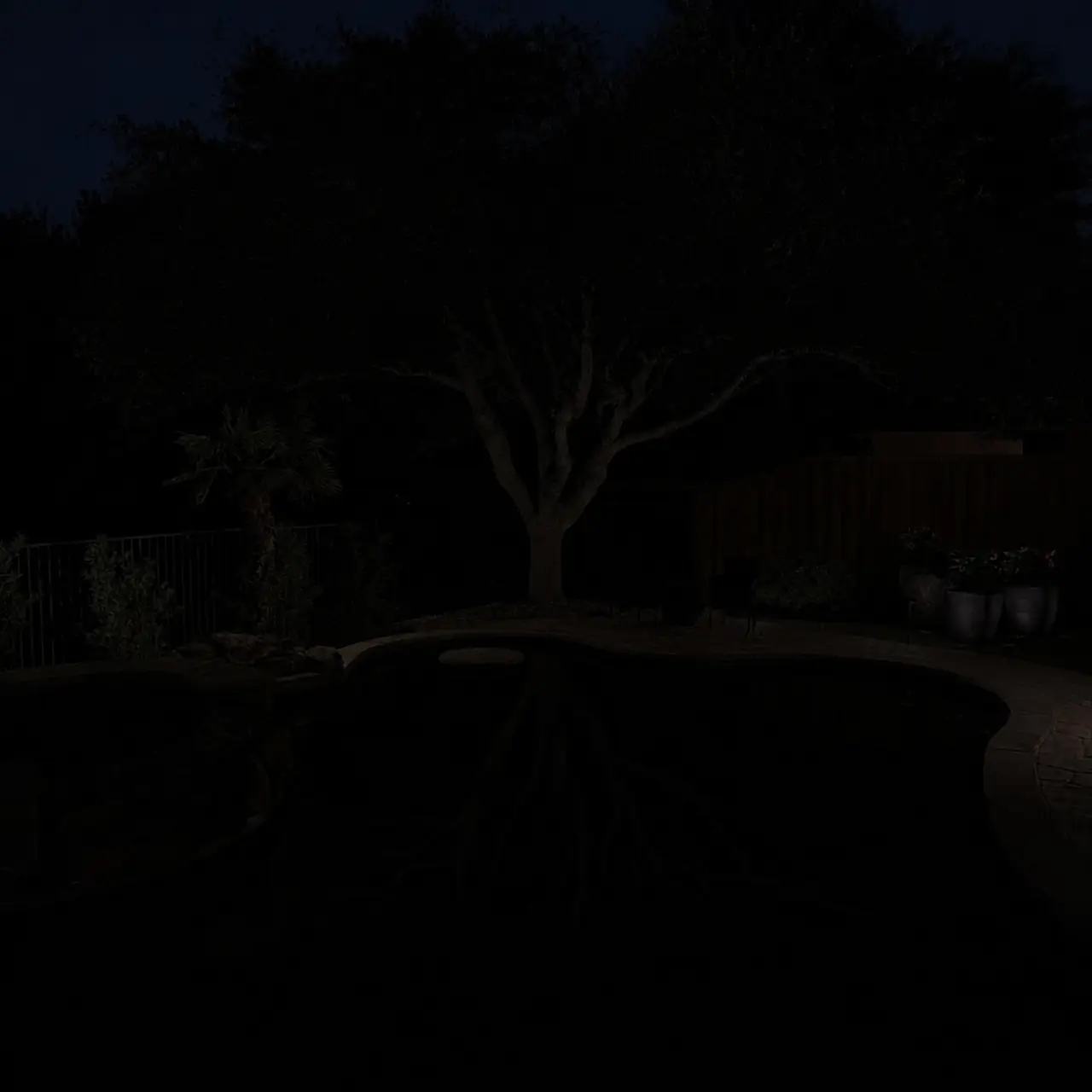Tree line at blue hour before lighting installation
